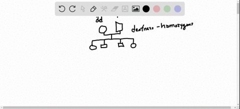 congenital-deafness-in-humans-is-inherited-as-a-recessive-condition-in-the-following-pedigree-two-de