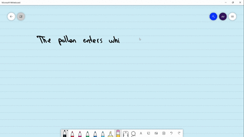 the-pollen-enters-one-of-the-synergids-through-a-micropyles-end-b-filiform-apparatus-c-integument-d-