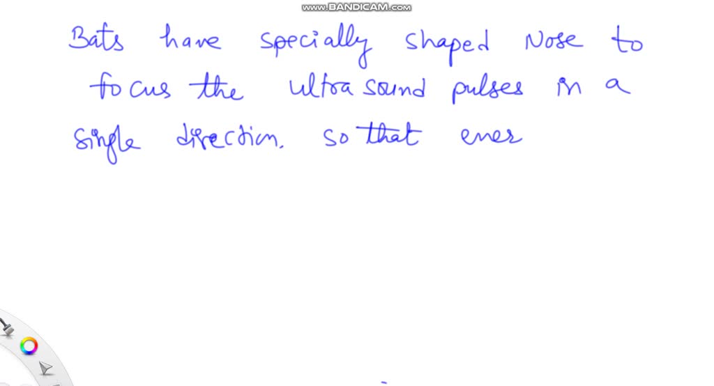 Why are directional or shotgun mics appropriate for recording dialogue