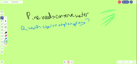 which-of-the-following-is-not-an-adaptation-of-pine-needles-to-conserve-water-a-less-surface-area--4