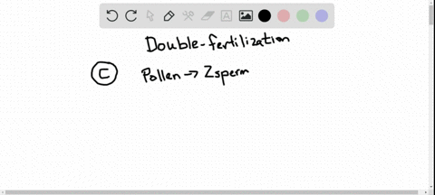 what-happens-when-double-fertilization-occurs-a-two-zygotes-are-formed-but-only-one-survives-b-two-s