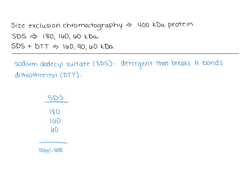 A protein has a molecular mass of 400 kDa when measured by size