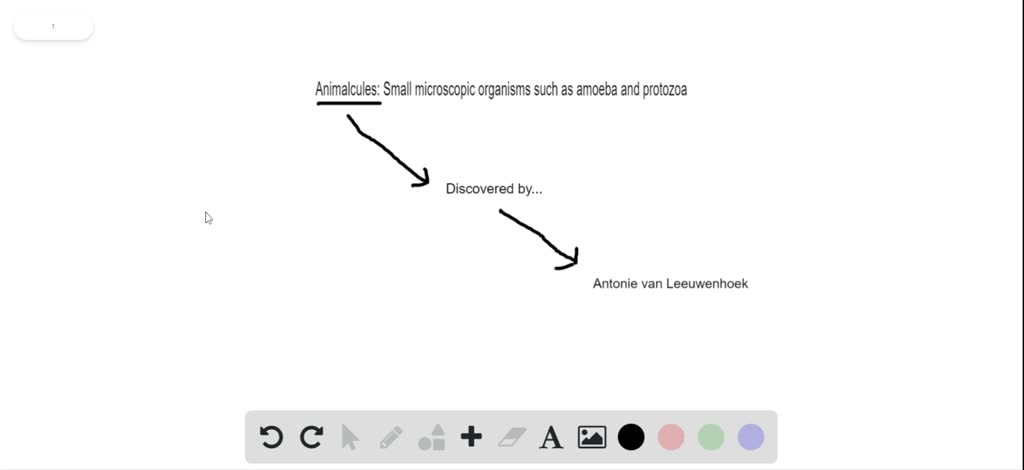 solved-who-was-the-first-to-observe-animalcules-under-the-microscope