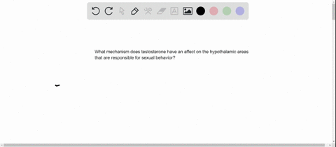 by-what-mechanism-does-testosterone-affect-the-hypothalamic-areas-responsible-for-sexual-behavior-2