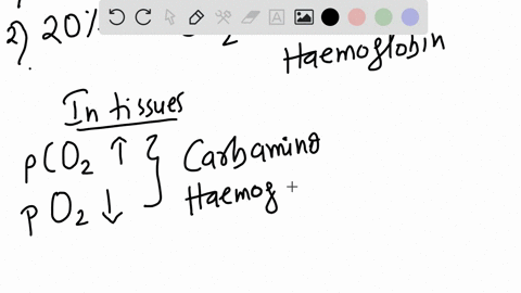 most-carbon-dioxide-is-a-dissolved-in-the-plasma-b-bound-to-hemoglobin-c-combined-with-water-in-red-