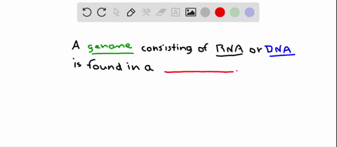 an-___may-have-a-genome-of-rna-or-dna-a-bacterium-b-viroid-c-virus-d-archaean