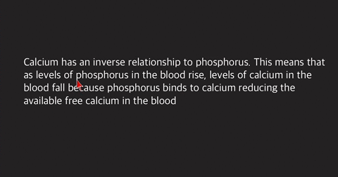 why-is-it-important-that-the-macronutrients-calcium-and-phosphorus-be-ingested-in-approximately-equa