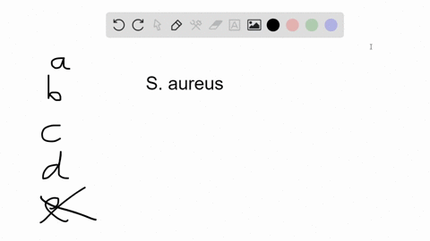 which-of-the-following-about-staphylococcus-aureus-is-false-a-it-is-generally-coagulase-positive-b-i