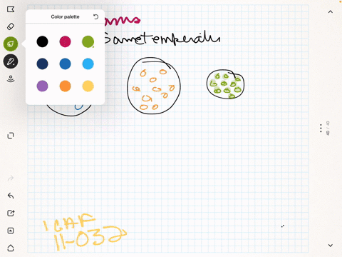 consider-the-following-diagrams-representing-different-gas-samples-all-at-the-same-temperature-a-w-2