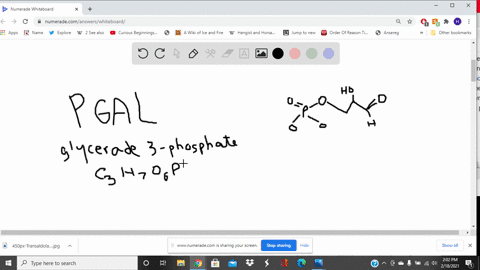 biochemical-reactions-often-look-more-complex-than-they-really-are-in-the-pentose-phosphate-pathway-