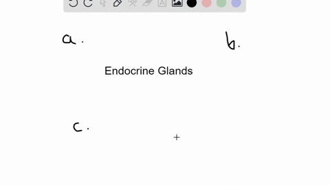 endocrine-glands-________-a-secrete-hormones-that-travel-through-a-duct-to-the-target-organs-b-relea