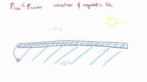 the-fact-that-ice-is-less-dense-than-the-liquid-is-important-to-weather-and-aquatic-life-explain