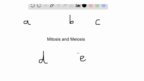 questions-15-17-match-the-event-of-mitosis-with-stages-listed-below-which-stage-is-metaphase-i-of-me