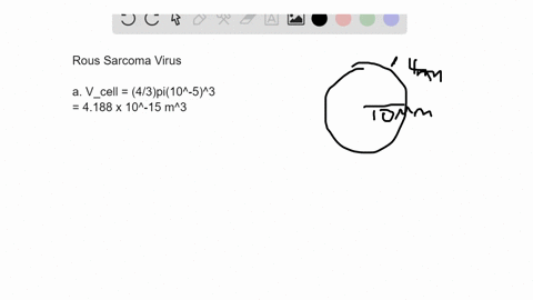 rous-sarcoma-virus-rsv-carries-an-oncogene-called-s-r-c-which-encodes-a-continuously-active-protein-