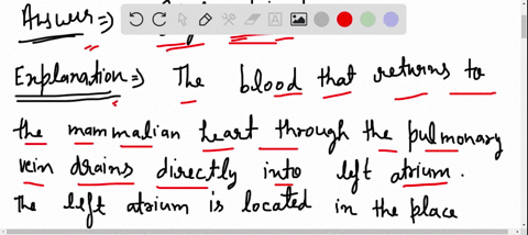 Solved:which Chamber Initially Receives Blood From The Systemic Circuit? A.  Left Atrium B. Left Ventricle C. Right Atrium D. Right Ventricle Solved:which Chamber Initially Receives Blood From The Systemic Circuit? A.  Left Atrium B. Left Ventricle C. Right Atrium D. Right Ventricle