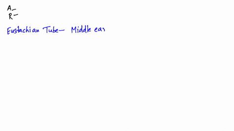 assertion-we-can-equalise-pressure-on-either-side-of-ear-drum-reason-eustachian-tube-connects-inner-