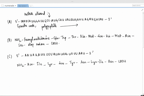 the-following-dna-sequence-occurs-in-a-bacterium-the-promoter-sequence-is-located-to-the-left-but-is