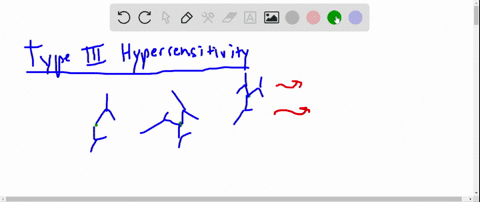 what-types-of-antibodies-are-most-common-in-type-iii-hypersensitivities-and-why