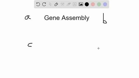 why-is-genome-assembly-a-challenge-in-large-polyploid-genomes-where-there-has-been-extensive-genomic