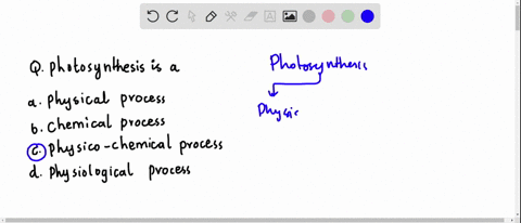 photosynthesis-is-a-a-physical-process-b-chemical-process-c-physico-chemical-process-d-physiological