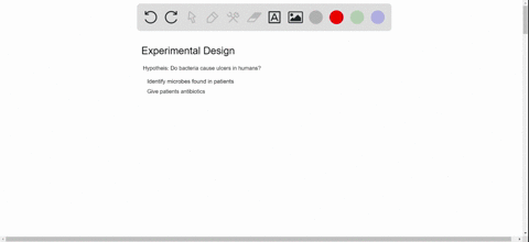 which-of-the-following-experiments-could-test-the-hypothesis-that-bacteria-cause-ulcers-in-humans-as