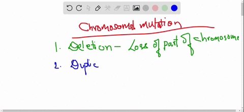 list-the-three-basic-categories-of-chromosome-mutations-and-define-each-one