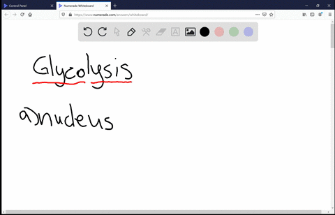 glycolysis-occurs-in-the-_____-of-all-cells-a-nucleus-b-mitochondrion-c-plasma-membrane-d-cytoplasm