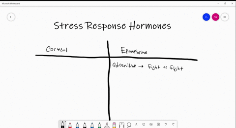 both-epinephrine-and-cortisol-are-involved-in-the-bodys-response-to-stress-how-do-the-two-molecules-