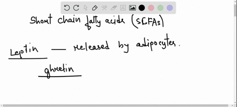 explain-why-it-makes-metabolic-sense-for-adipocytes-to-release-leptin-in-response-to-circulating-sho