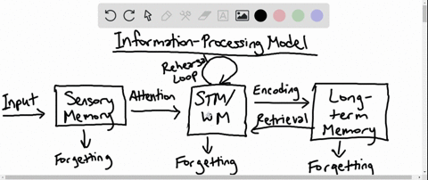 according-to-the-three-boxinformation-processing-model-stimuli-from-our-outside-environment-is-first