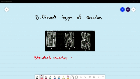 identify-the-figures-a-b-c-showing-different-types-and-select-the-correct-option-a-a-smooth-muscle-b