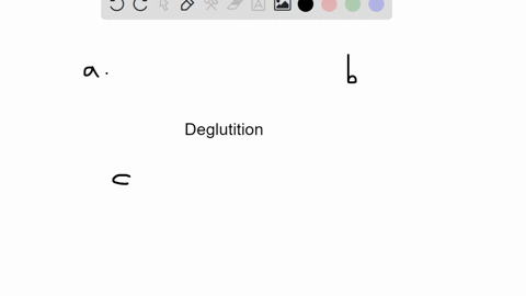 which-phase-of-deglutition-involves-contraction-of-the-longitudinal-muscle-layer-of-the-muscularis-a