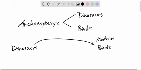 paleontologists-have-recovered-a-fossil-for-an-organisms-named-archaeopteryx-it-has-many-features-in