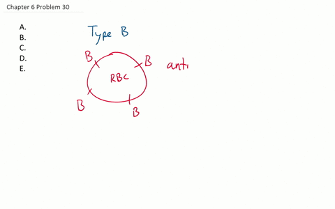 if-a-person-has-type-mathrmb-blood-it-means-there-are-a-anti-a-antibodies-in-the-plasma-b-no-b-antig