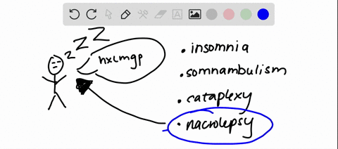 _________-is-another-word-for-sleepwalking-a-insomnia-b-somnambulism-c-cataplexy-d-narcolepsy