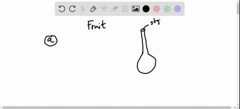 what-is-a-fruit-a-an-expanded-ovary-that-includes-a-seed-or-seeds-b-a-structure-consisting-of-an-emb