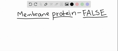 which-statement-about-membrane-proteins-is-not-true-a-they-all-extend-from-one-side-of-the-membran-2