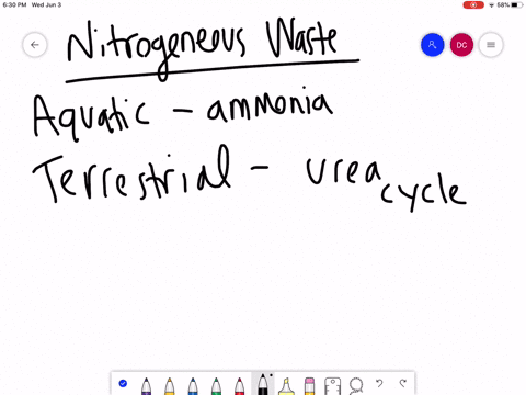 in-terms-of-evolution-why-might-the-urea-cycle-have-evolved-in-organisms