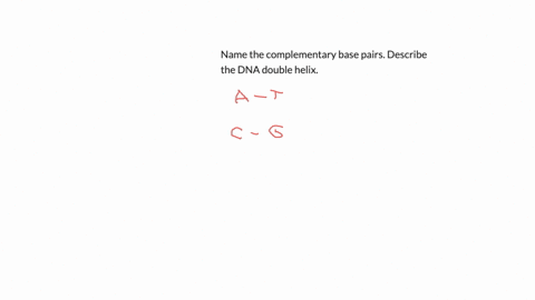 name-the-complementary-base-pairs-describe-the-dna-double-helix
