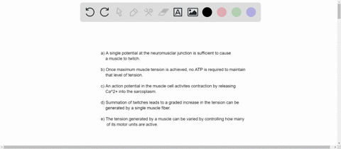 which-statement-about-muscle-contractions-is-not-true-a-a-single-action-potential-at-the-neuromuscul