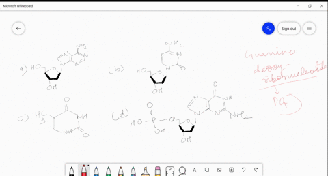 identify-structure-of-guanine-deoxyribo-nucleotide