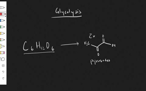 in-which-molecule-is-most-of-the-energy-of-glucose-stored-at-the-end-of-glycolysis-a-pyruvate-b-acet