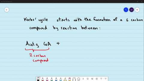 krebs-cycle-compound-by-reaction-between-acid-and-pyruvic-acid-a-fumaric-b-oaa-and-acetyl-coa-d-mali