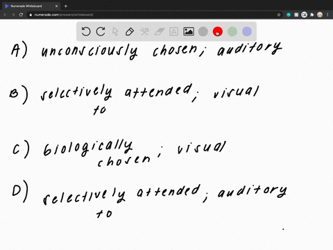 for-information-to-travel-from-either-the-iconic-or-echoic-sensory-system-to-short-term-memory-it-mu