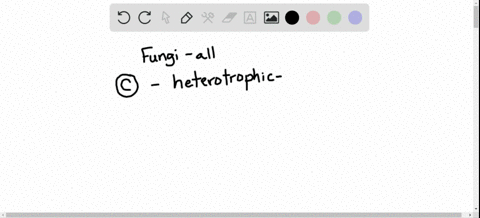 all-fungi-___-a-are-multicelled-c-are-heterotrophs-b-form-flagellated-spores-d-all-of-the-above