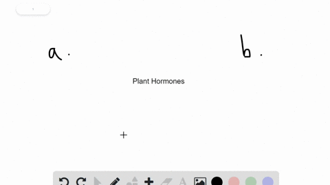 which-of-the-following-statements-is-false-a-auxin-and-gibberellin-promote-stem-elongation-b-cytokin