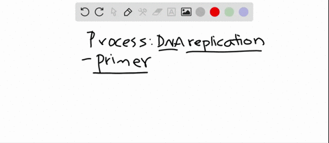 the-primer-used-for-dna-replication-a-is-a-short-strand-of-rna-added-to-the-3-end-b-is-present-only-