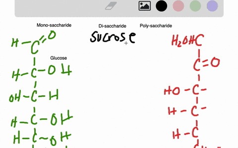 classify-each-of-the-following-monosaccharides-as-an-aldopentose-ketopentose-aldohexose-or-ketohex-9