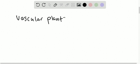 list-the-characteristics-that-distinguish-the-four-major-groups-of-plants-then-provide-an-example-of