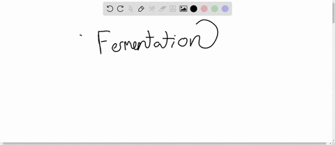 fermentation-pathways-produce-no-more-atp-beyond-the-small-yield-from-glycolysis-the-remaining-react